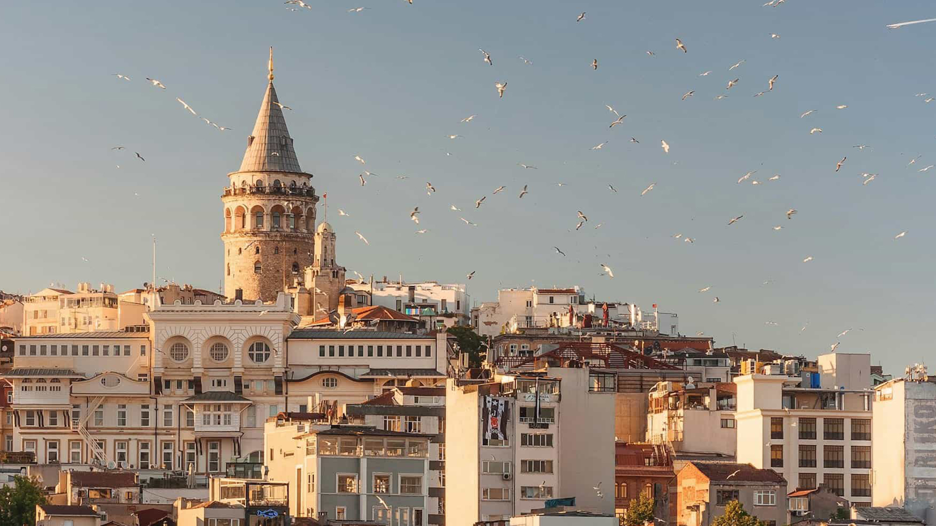 galataa